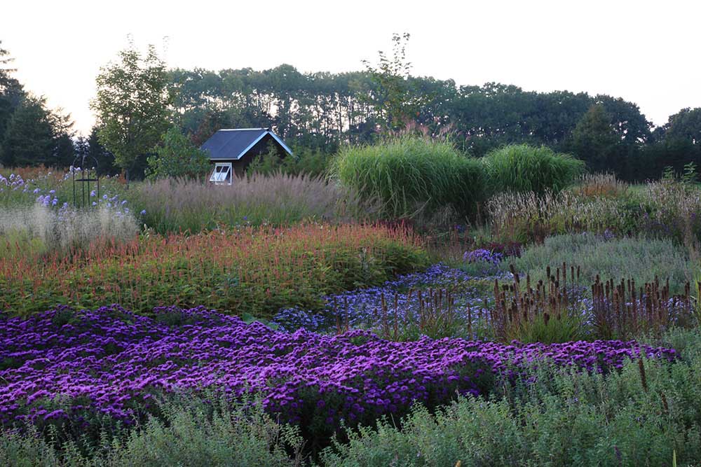 Garden Story 連載 – 北海道「大森ガーデン」庭づくり物語