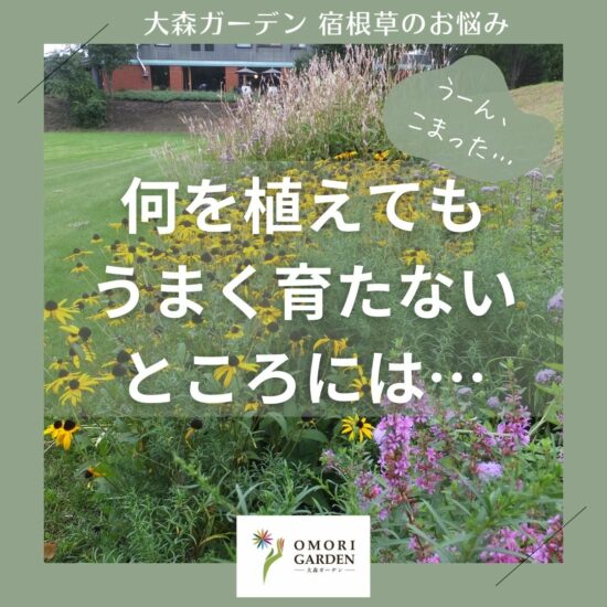 何を植えても育たないところには…