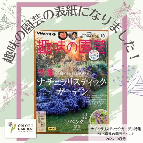 秋の大森ガーデンが、趣味の園芸10月号の表紙になりました。