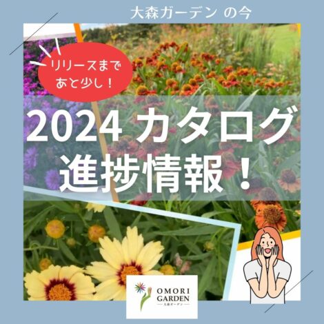 2024年 大森ガーデンカタログ 進捗情報！
