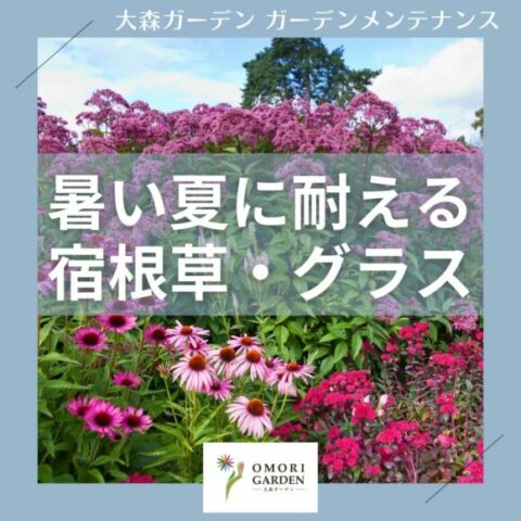 暑い夏に耐える宿根草・グラス 表紙