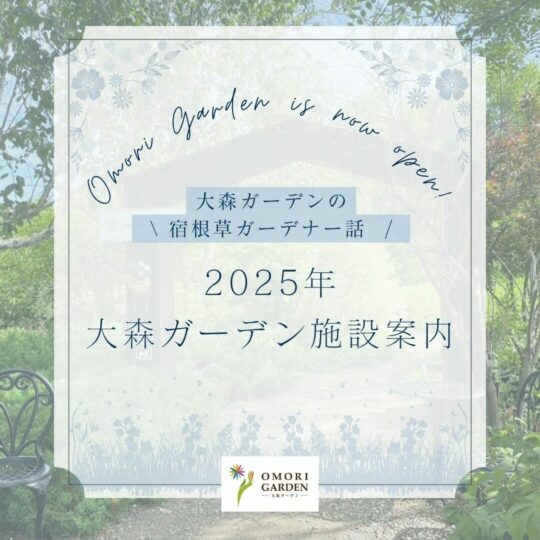 2025年 大森ガーデン施設案内