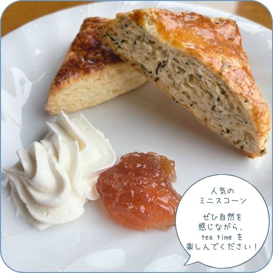 カフェ人気メニュー ミニスコーン