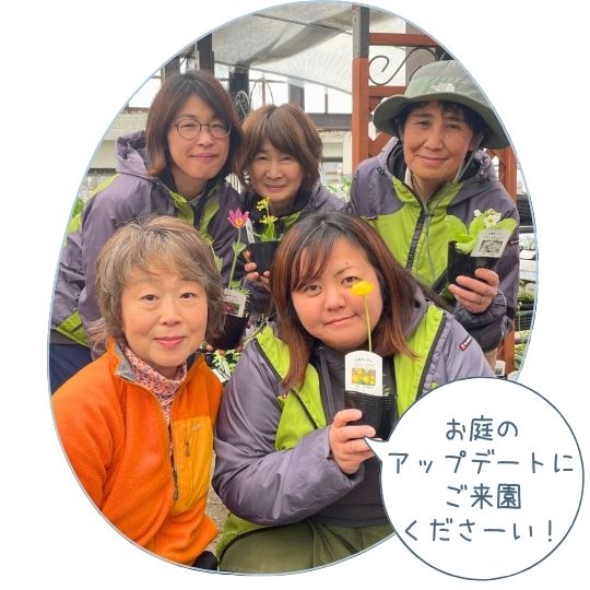 スタッフからのメッセージ