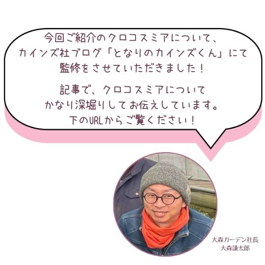 社長大森謙太郎 コメント