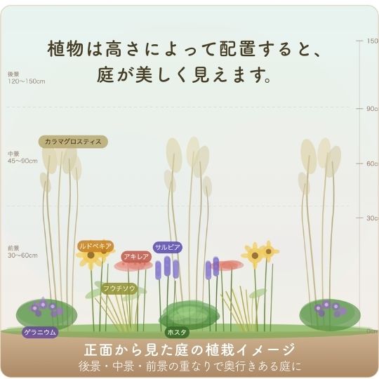 宿根草の植え付け提案