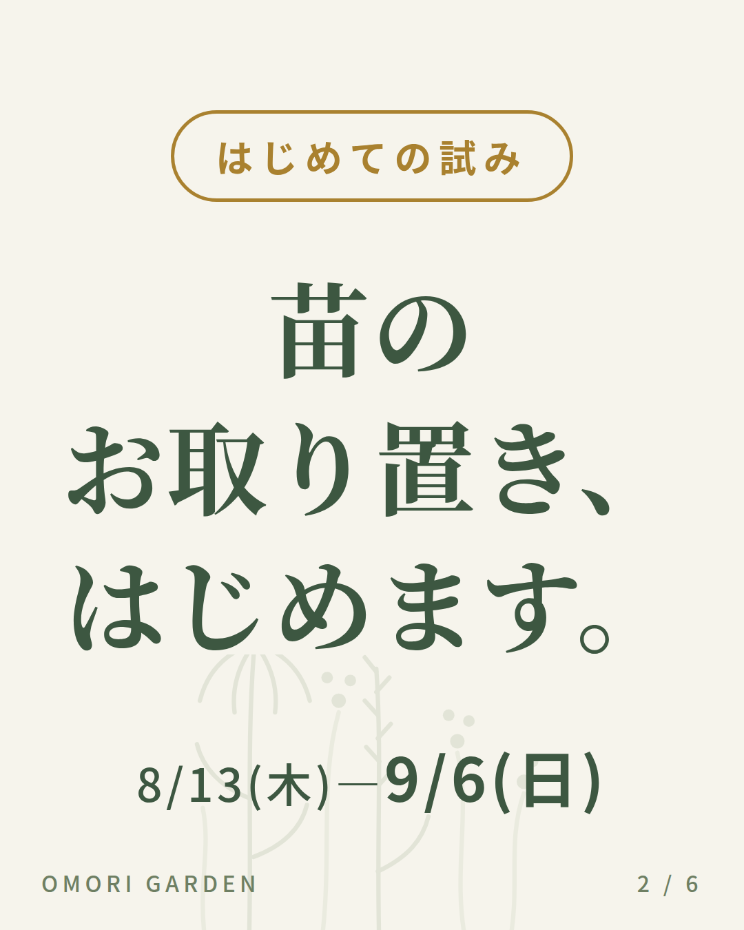 苗のお取り置き、はじめます。——涼しくなってから、植え頃に合わせてお届け【9/6まで・10%OFFクーポン配布中】